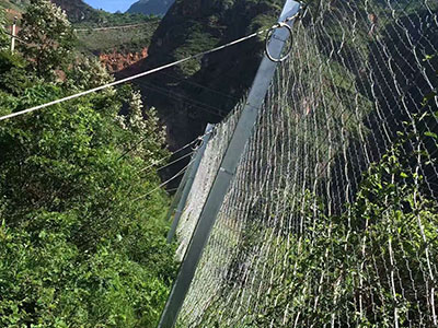 大安RXI-100被动防护网